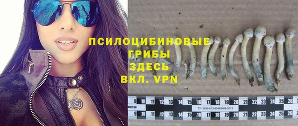 гашик Беломорск