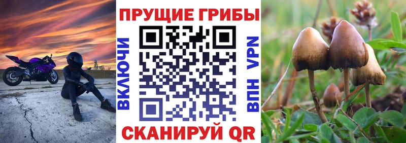 Галлюциногенные грибы мухоморы  сколько стоит  Энем 
