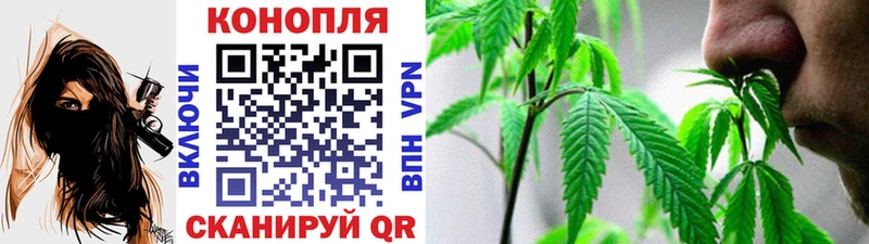мега зеркало  Энем  Конопля конопля 